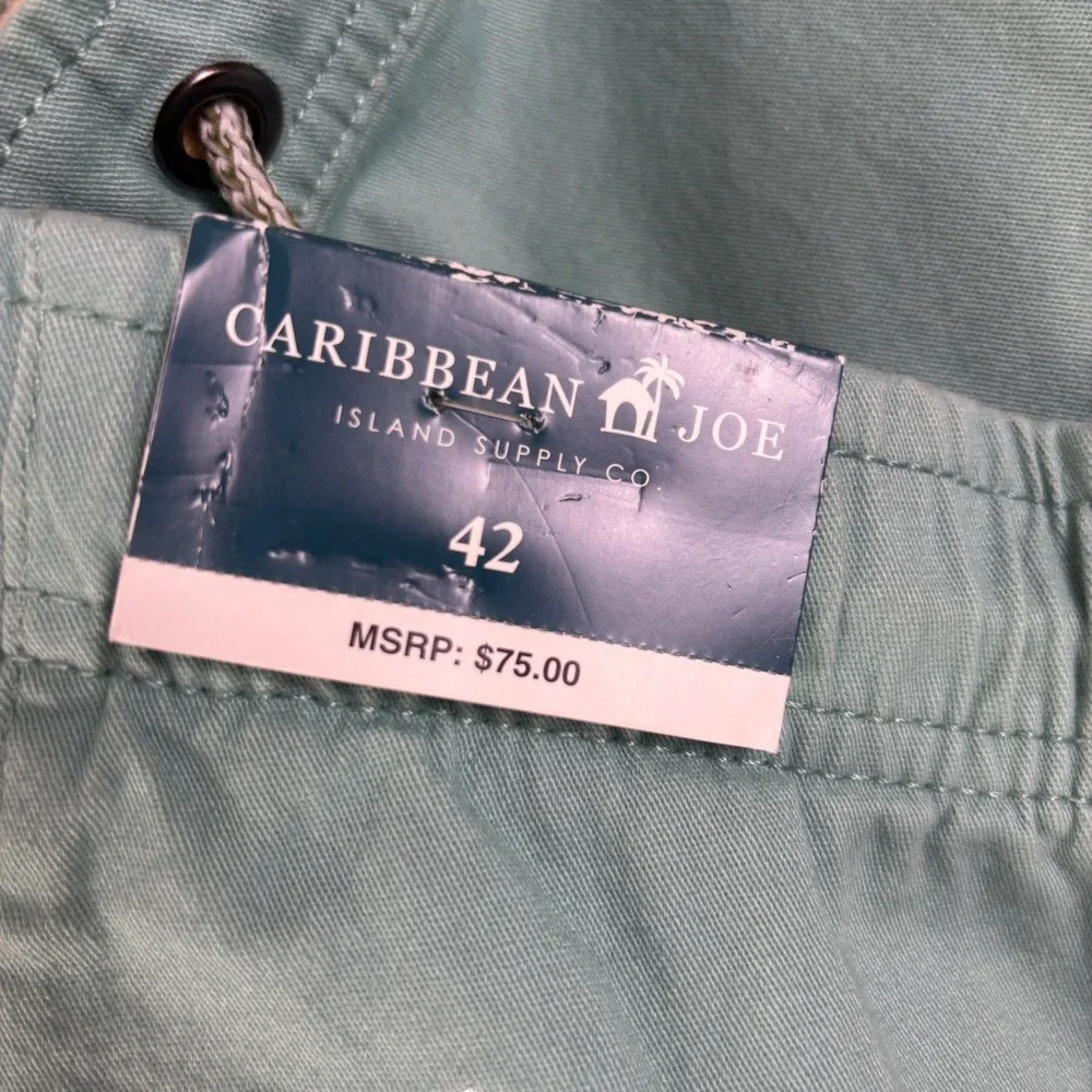 Caribbean Joe Mens Shorts Size 42 Seafoam Green Cotton Stretch Drawstring Casual